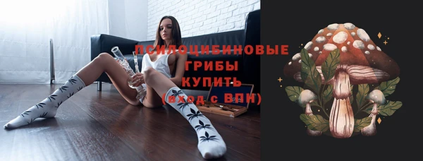 тгк Аркадак