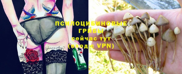 сатива Арсеньев