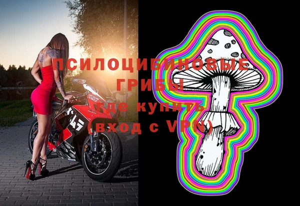 сатива Арсеньев